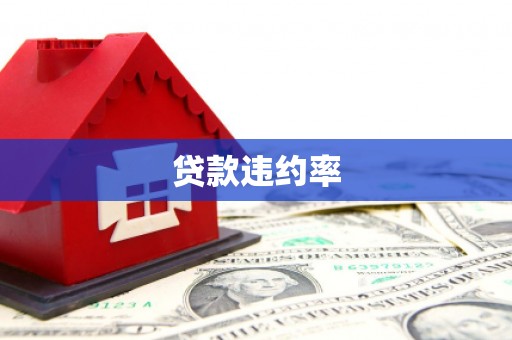 埤头贷款违约率