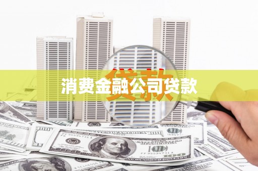 埤头消费金融公司贷款