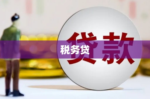 埤头税务贷