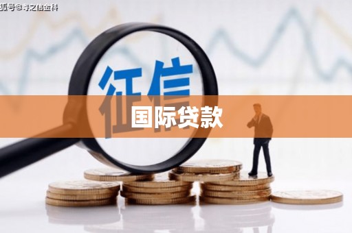 埤头国际贷款