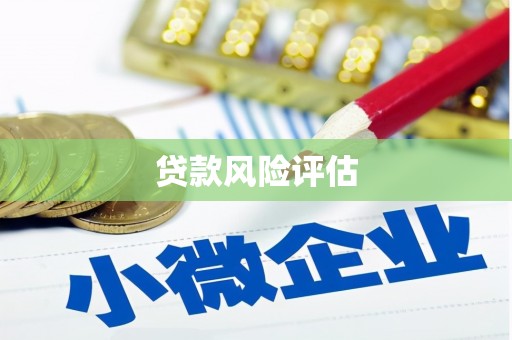 埤头贷款风险评估
