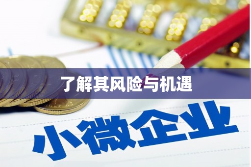 埤头了解其风险与机遇