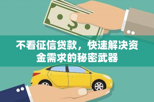 埤头不看征信贷款，快速解决资金需求的秘密武器
