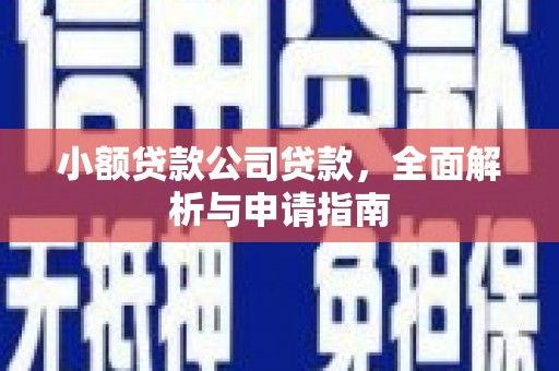 埤头小额贷款公司贷款，全面解析与申请指南