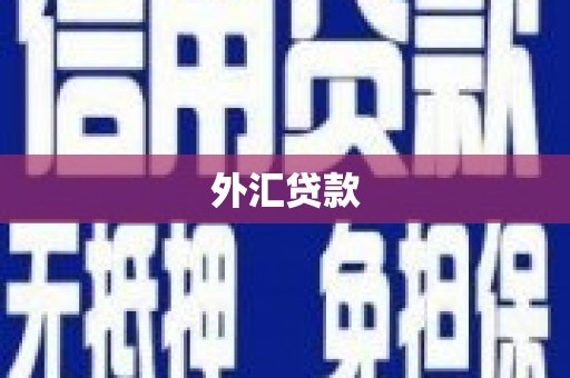 埤头外汇贷款