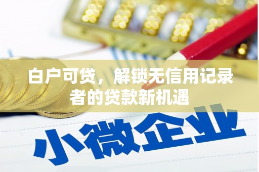 埤头白户可贷，解锁无信用记录者的贷款新机遇