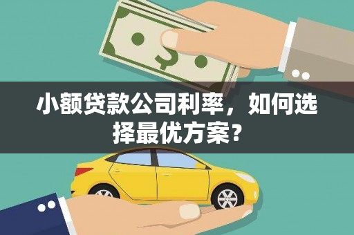 埤头小额贷款公司利率，如何选择最优方案？