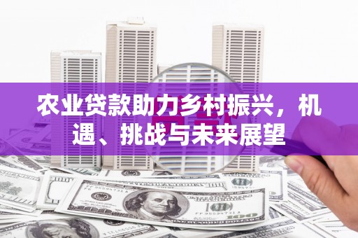 埤头农业贷款助力乡村振兴，机遇、挑战与未来展望