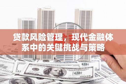 埤头贷款风险管理，现代金融体系中的关键挑战与策略