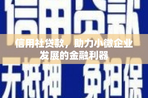 埤头信用社贷款，助力小微企业发展的金融利器