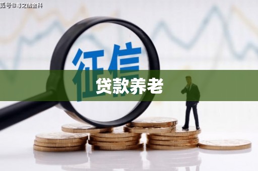 埤头贷款养老
