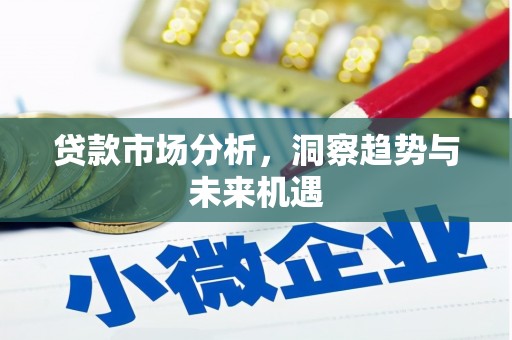 埤头贷款市场分析，洞察趋势与未来机遇
