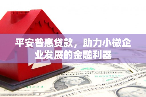 埤头平安普惠贷款，助力小微企业发展的金融利器