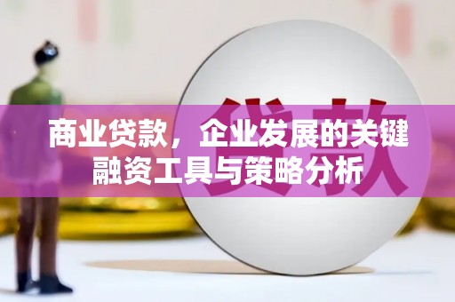 埤头商业贷款，企业发展的关键融资工具与策略分析