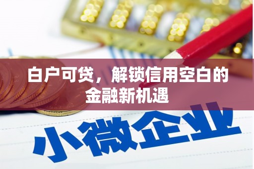 埤头白户可贷，解锁信用空白的金融新机遇