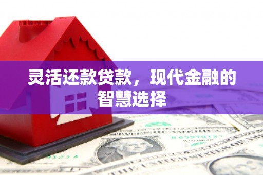 埤头灵活还款贷款，现代金融的智慧选择