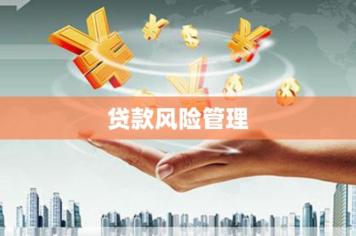埤头贷款风险管理