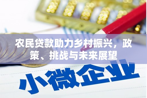 埤头农民贷款助力乡村振兴，政策、挑战与未来展望