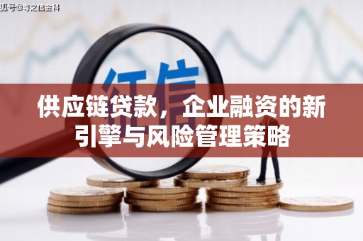 埤头供应链贷款，企业融资的新引擎与风险管理策略