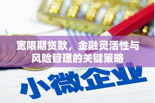 埤头宽限期贷款，金融灵活性与风险管理的关键策略
