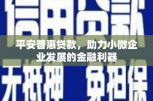 埤头平安普惠贷款，助力小微企业发展的金融利器