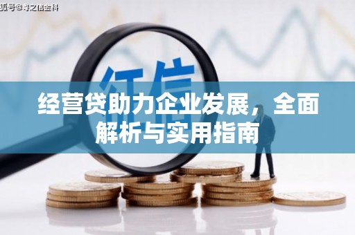 埤头经营贷助力企业发展，全面解析与实用指南