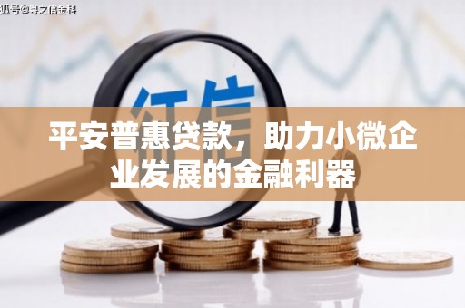 埤头平安普惠贷款，助力小微企业发展的金融利器