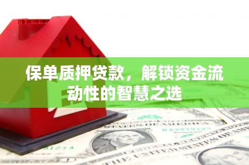 埤头保单质押贷款，解锁资金流动性的智慧之选