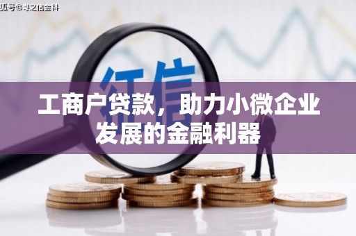 埤头工商户贷款，助力小微企业发展的金融利器
