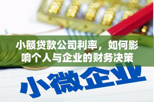埤头小额贷款公司利率，如何影响个人与企业的财务决策