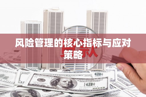 埤头风险管理的核心指标与应对策略