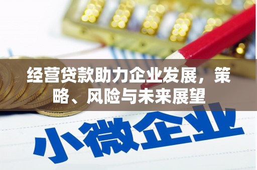 埤头经营贷款助力企业发展，策略、风险与未来展望