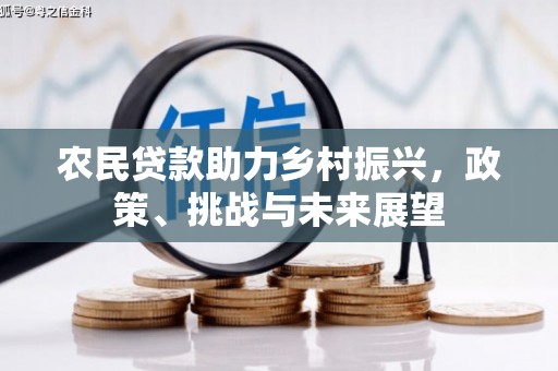埤头农民贷款助力乡村振兴，政策、挑战与未来展望