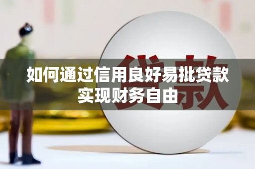 埤头如何通过信用良好易批贷款实现财务自由