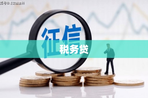 埤头税务贷