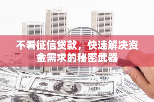 埤头不看征信贷款，快速解决资金需求的秘密武器