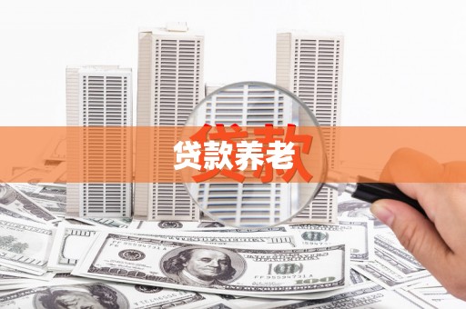 埤头贷款养老