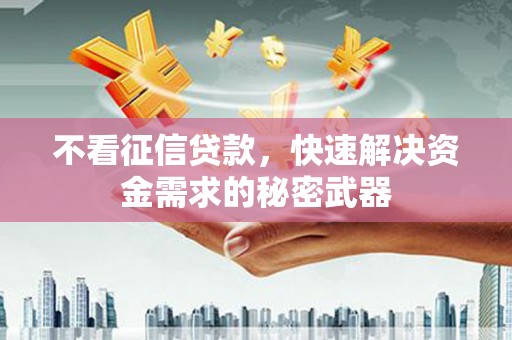 埤头不看征信贷款，快速解决资金需求的秘密武器