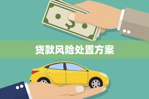 埤头贷款风险处置方案