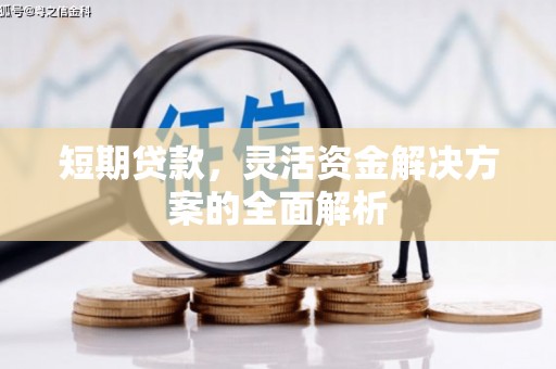 埤头短期贷款，灵活资金解决方案的全面解析