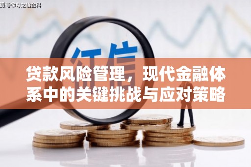 埤头贷款风险管理，现代金融体系中的关键挑战与应对策略
