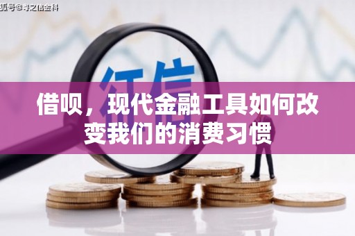 埤头借呗，现代金融工具如何改变我们的消费习惯