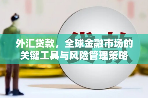 埤头外汇贷款，全球金融市场的关键工具与风险管理策略