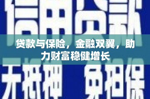 埤头贷款与保险，金融双翼，助力财富稳健增长