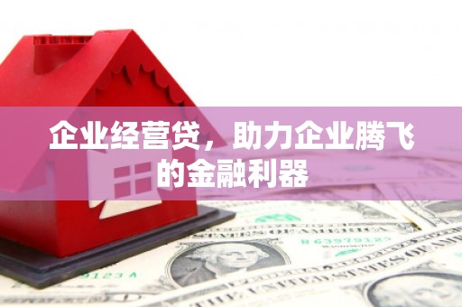 埤头企业经营贷，助力企业腾飞的金融利器