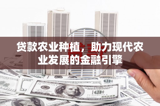 埤头贷款农业种植，助力现代农业发展的金融引擎