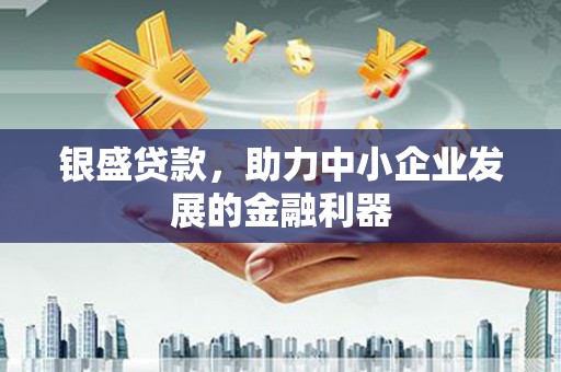 埤头银盛贷款，助力中小企业发展的金融利器