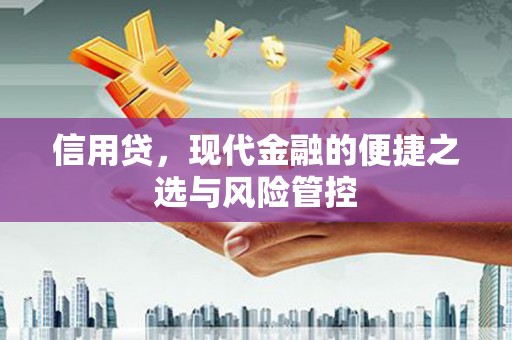 埤头信用贷，现代金融的便捷之选与风险管控
