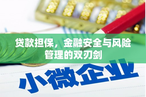 埤头贷款担保，金融安全与风险管理的双刃剑