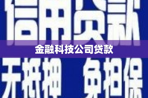 埤头金融科技公司贷款